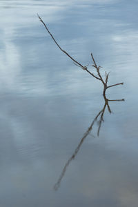 Close-up of lake against sky