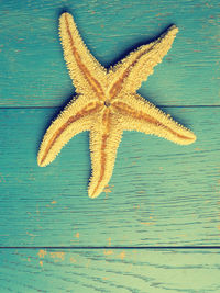 High angle view of starfish on wood