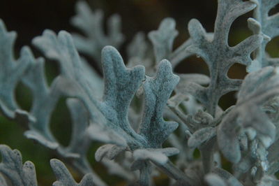 Full frame shot of snow