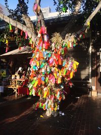 Multi colored lanterns hanging on tree