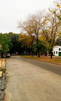 Street by trees against sky