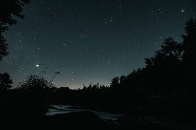 Low angle view of silhouette trees against sky at night