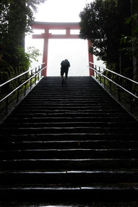 Rear view of man walking on stairs