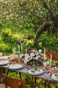 View of potted plants and chairs in yard