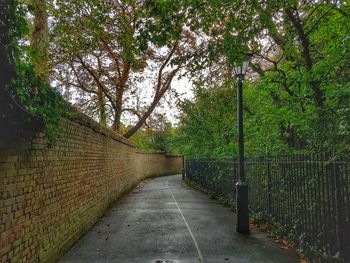 Empty road along trees