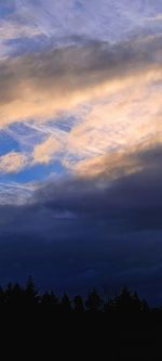 Low angle view of silhouette trees against sky at sunset