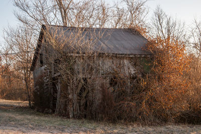 Abandoned house by bare trees against sky