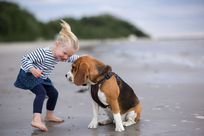 Girl and beagle on shore at beach