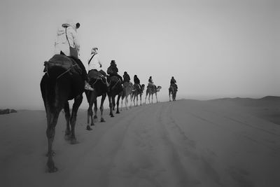 People riding on camels at sahara desert against sky