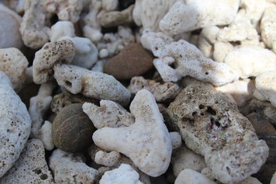 Full frame shot of stones at beach