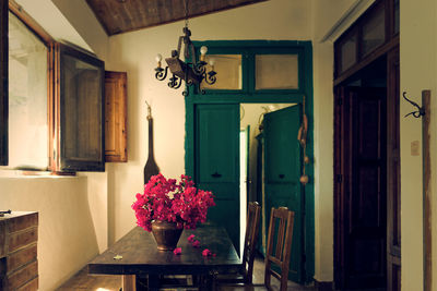 Potted plant on table by building