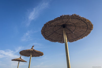 Low angle view of mushroom against blue sky