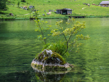 Scenic view of lake