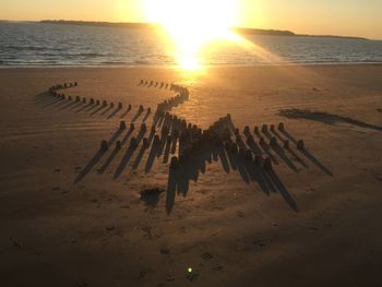 Scenic view of beach during sunset