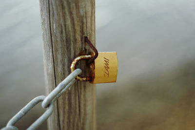 Close-up of padlocks on railing