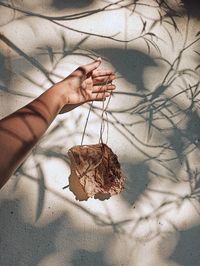 Close-up of hand holding dry leaf