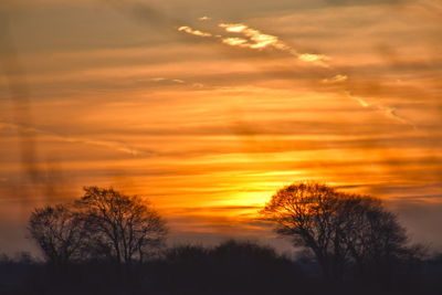 Low angle view of silhouette trees against orange sky