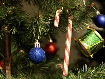 Close-up of christmas decorations hanging on tree