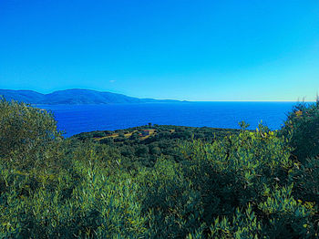 Scenic view of sea against clear blue sky