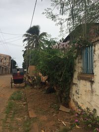 Houses in town against sky