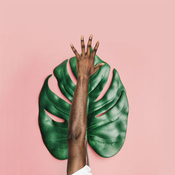 Close-up of man with leaf against pink background