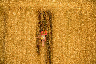 Combine harvester from above