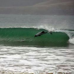 Waves splashing in sea