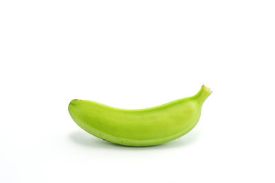 High angle view of green leaf against white background