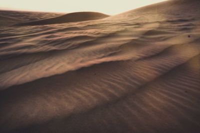 Sand dunes in desert