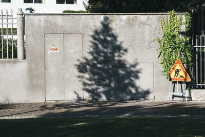 Road sign against ivy growing on wall