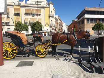 Horse cart in city