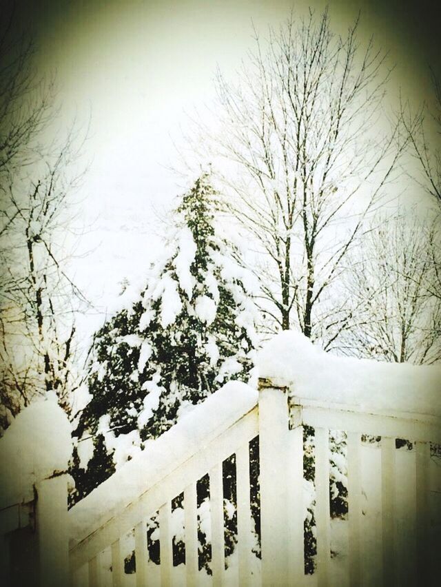 snow, winter, cold temperature, bare tree, tree, built structure, architecture, building exterior, season, weather, covering, branch, nature, white color, house, tranquility, day, frozen, covered, outdoors