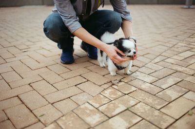 Low section of man with puppy on footpath