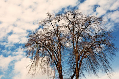 Low angle view of bare tree against cloudy sky