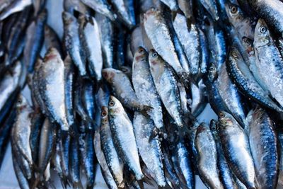 Full frame shot of fishes at market stall