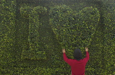 Rear view of man standing by plants