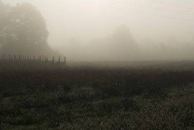 View of field in foggy weather
