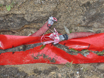 High angle view of red toy on rock