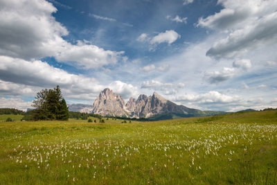 Scenic view of alpe di siusi, seiser alm with sassolungo, langkofel in front of blue sky with clouds