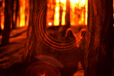 Close-up of illuminated lamp