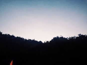 Silhouette trees against clear sky