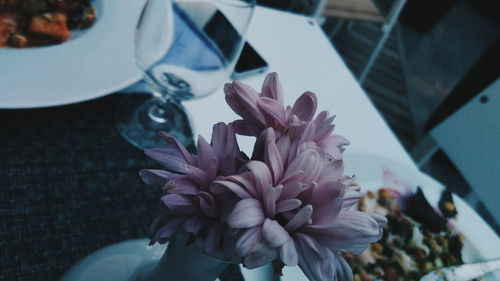 Close-up of flowers against blurred background