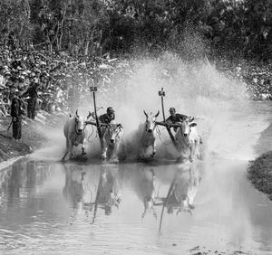 Group of people splashing water in lake