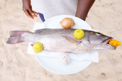 High angle view of man holding fish