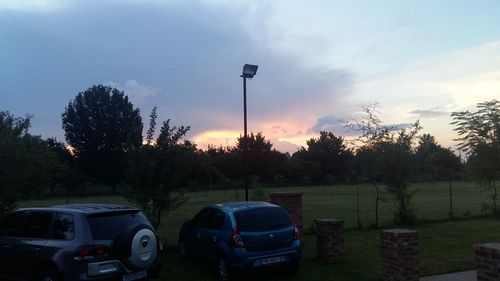 Silhouette of trees at sunset