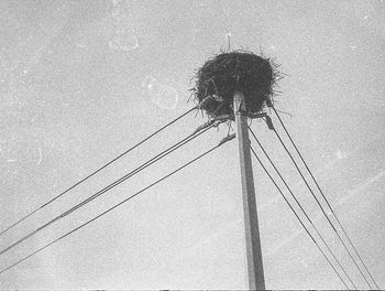 Low angle view of barbed wire against sky