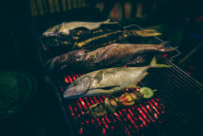 Close-up of fish grilled on barbeque grill at night
