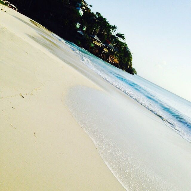 beach, sand, sea, shore, water, tree, tranquility, tranquil scene, palm tree, nature, scenics, beauty in nature, horizon over water, sky, coastline, sunlight, day, wave, clear sky, surf