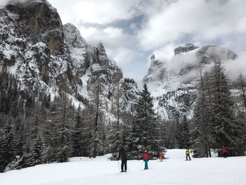 View of trees on snow covered mountain