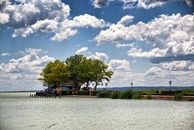 Scenic view of trees against sky